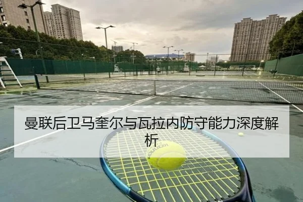 曼联后卫马奎尔与瓦拉内防守能力深度解析